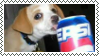 Puppy enjoying some Pepsi.